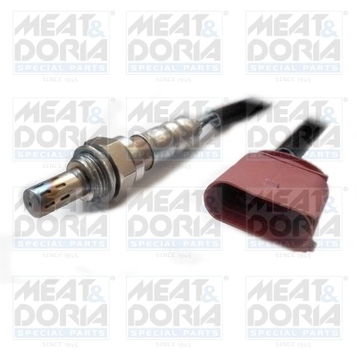 Oxygen Sensor